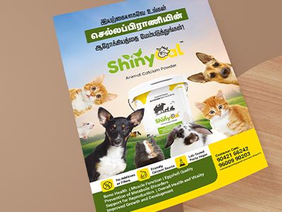 Shiny cal Marketing Collateral